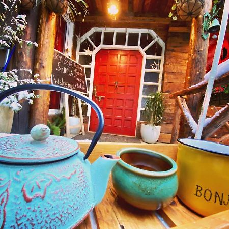 Meena Bagh Shimla Zewnętrze zdjęcie